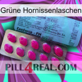 Grüne Hornissenlaschen 35